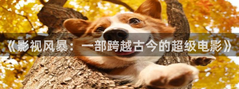 秋霞人成在线观看视频