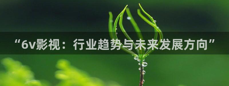 秋霞理仑片