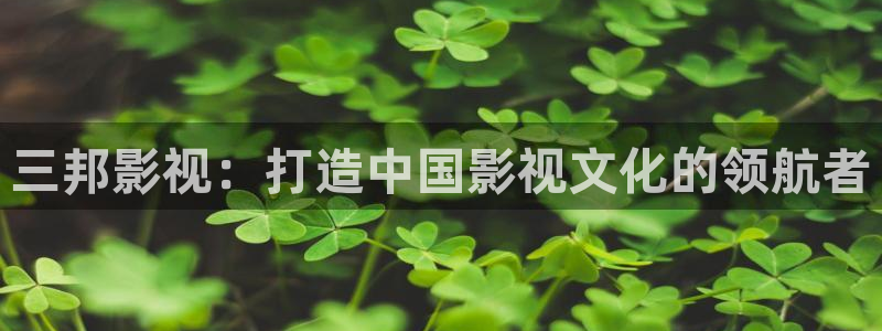 秋霞电影秋霞秋