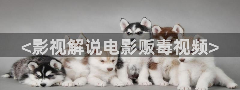秋霞网午夜影院