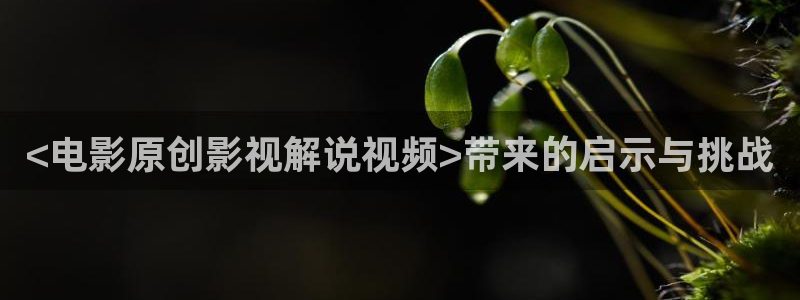 2019秋霞电影