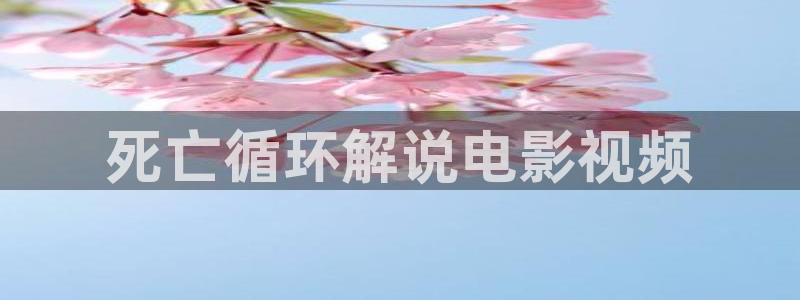 秋霞网一级理论