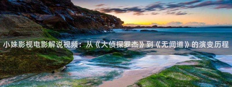 秋霞网在线播放观看
