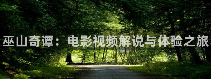 伦理片秋霞影院