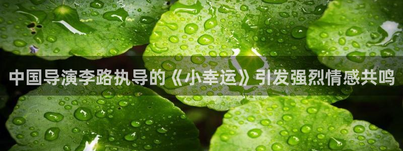 秋霞上网