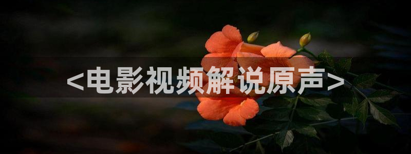 2019秋霞最新电影