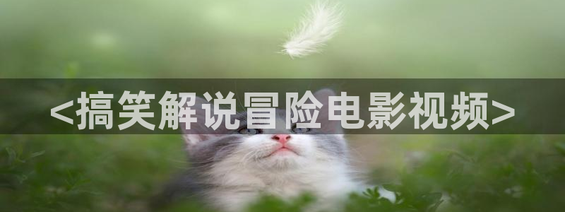 秋霞伦理在线看观看视频