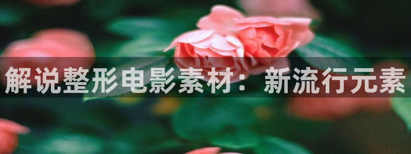 新闻图片
