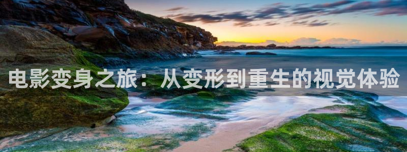秋霞电影网官