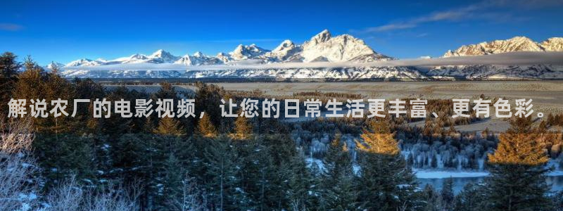 新闻图片