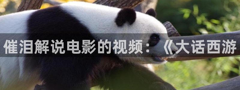 秋霞网午夜影院