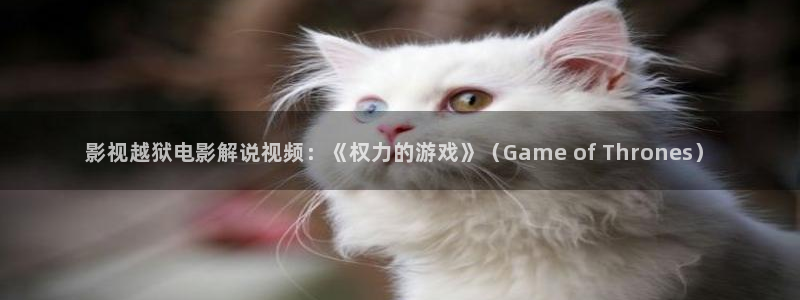 秋霞电影网αv