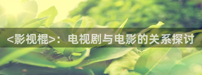 秋霞网?